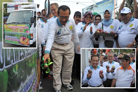 Mentan Dorong Ekspor Markisa Ditingkatkan